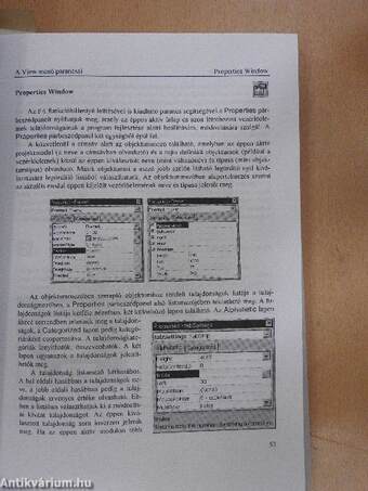 Visual Basic 5.0