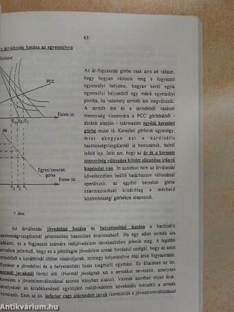 Közgazdaságtan alapjai I.