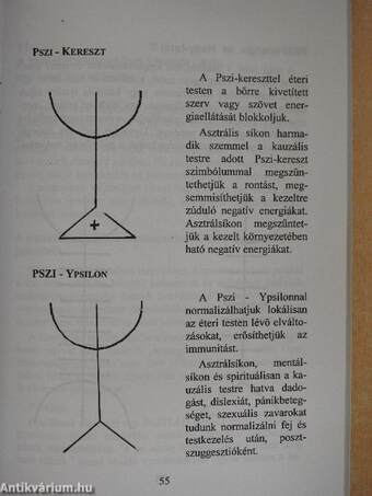 Transzcendentális gyógyászat virtuális pszichózis