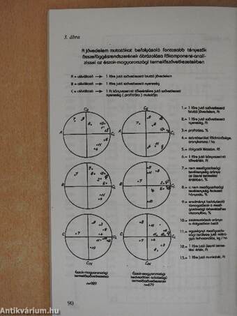 Kutatási eredmények 1986-1991