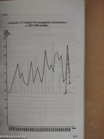 Kutatási eredmények 1986-1991