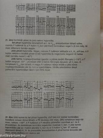 Kórélettani gyakorlatok I.