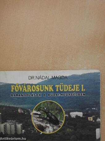 Fővárosunk tüdeje I.