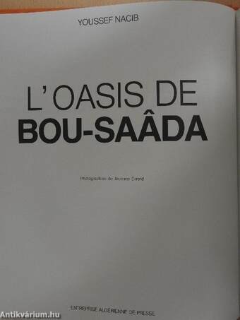 L'oasis de Bou-Saada