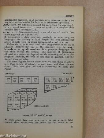 Collins Dictionary of Information Technology