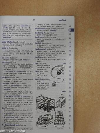 Longman Basic English Dictionary