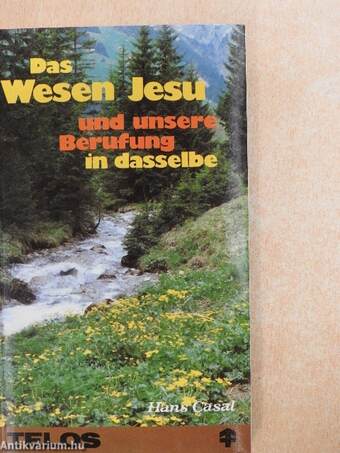 Das Wesen Jesu und unsere Berufung in dasselbe