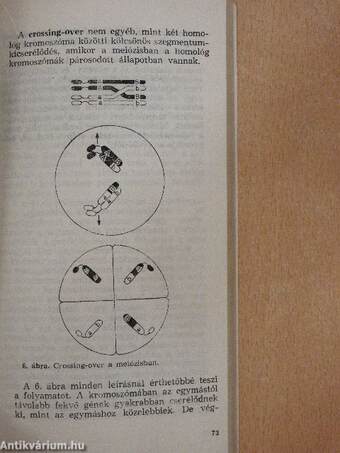 Átöröklés és evolúció