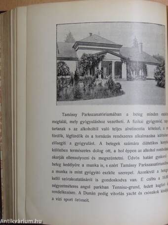 A Budapesti Ujságirók Egyesülete 1910-ik évi almanachja