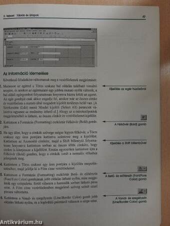 Microsoft Access 97