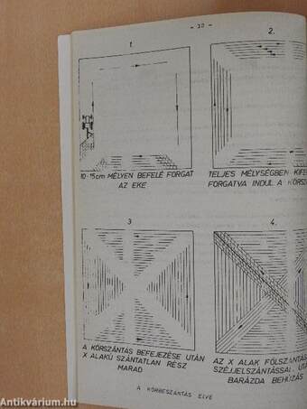 Kukoricatermelési technológia I.