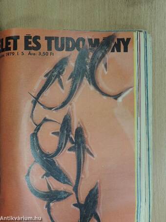 Élet és Tudomány 1977-1979. (vegyes számok) (53 db)