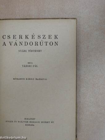 Cserkészek a vándorúton