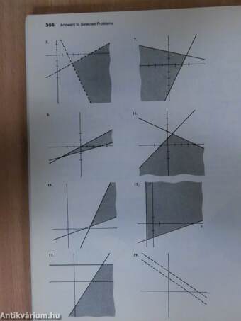 Beginning Algebra