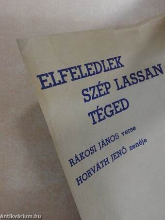 Elfeledlek szép lassan téged