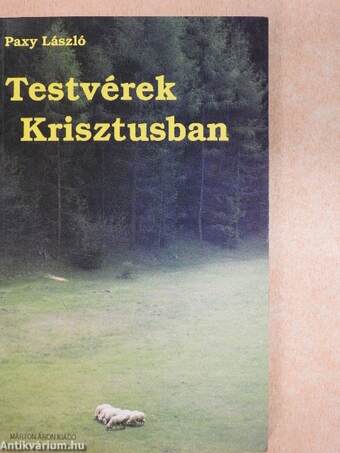 Testvérek Krisztusban