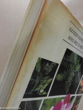 The Hamlyn Encyclopedia of House Plants