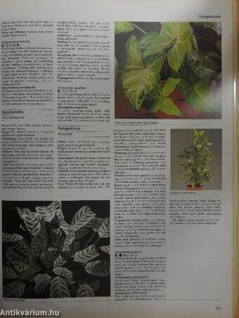 The Hamlyn Encyclopedia of House Plants