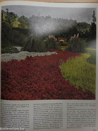 The Tropical Gardens of Burle Marx