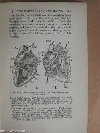 Lessons in elementary physiology