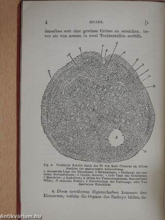 Grundzüge der Histologie