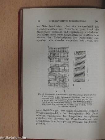 Grundzüge der Histologie