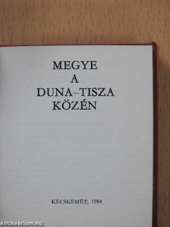 Megye a Duna-Tisza közén (minikönyv)