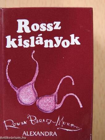 Rossz kislányok (minikönyv)