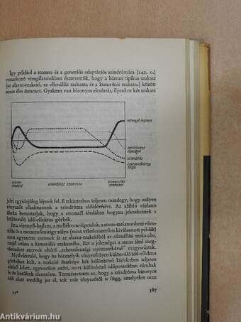 Álomtól a felfedezésig