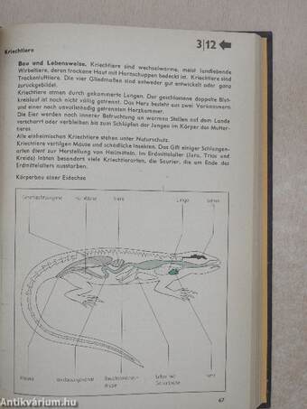 Biologie in Übersichten