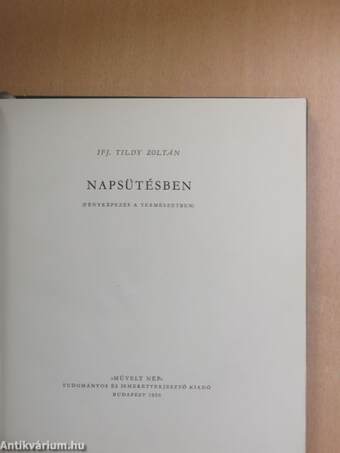 Napsütésben