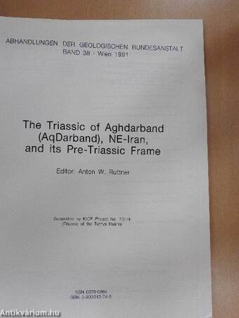 The Triassic of Aghdarband (AqDarband), NE-Iran, and its Pre-Triassic Frame