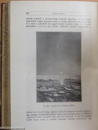 Természettudományi Közlöny 1910. január-december