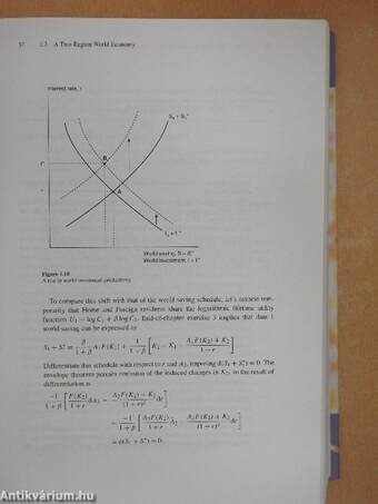 Foundations of International Macroeconomics