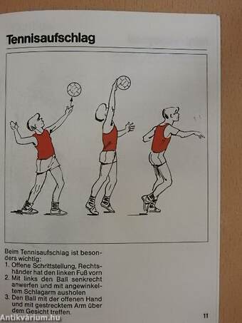 Die beliebtesten Spiel-mit-Spiele: Volleyball