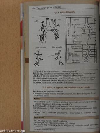 Tabularium pulmonologiae