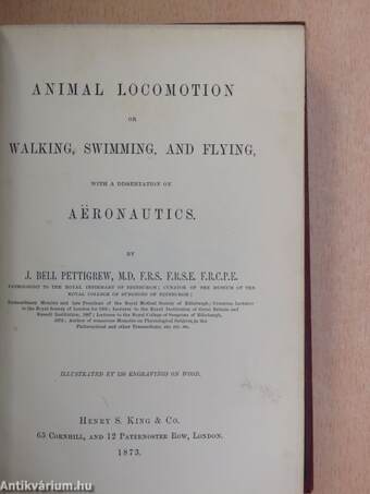 Animal locomotion or walking, swimming, and flying