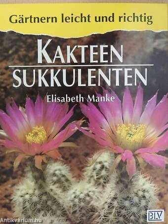 Kakteen - Sukkulenten