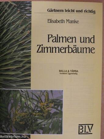 Palmen und Zimmerbäume