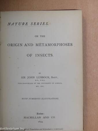 On the origin and metamorphoses of insects