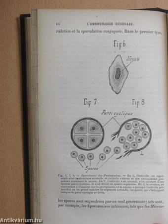 L'embryologie générale