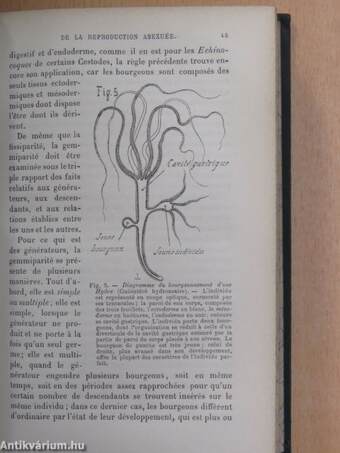 L'embryologie générale