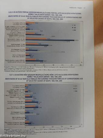 Demográfiai évkönyv 2000 