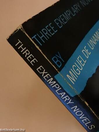 Three exemplary novels