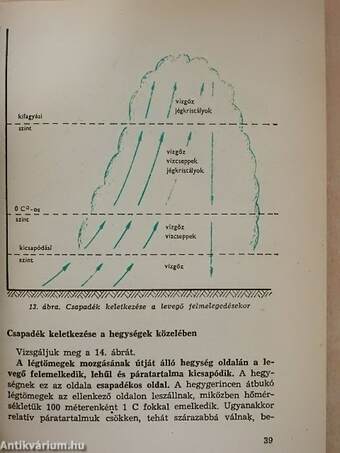 Növénytermesztés I.