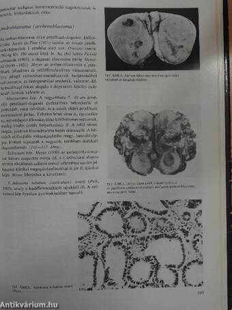 Nőgyógyászati pathologia