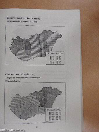 Jász-Nagykun-Szolnok megye statisztikai évkönyve 1995