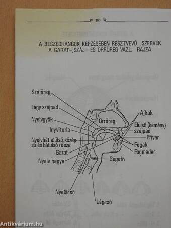 Beszédművelés gyakorlószövegek