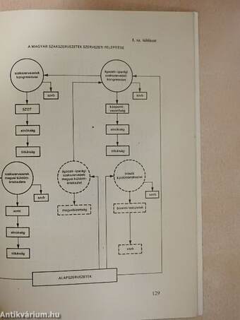 Társadalmunk kérdései 1981/1982