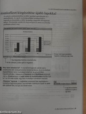 A siker kulcsa: Microsoft Excel 97